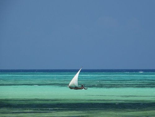 Zanzibar Sandbank tour