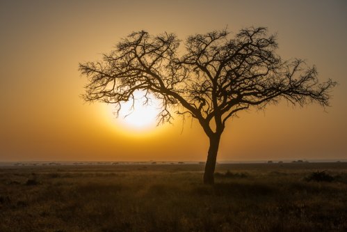 Tanzania Africa Sunset